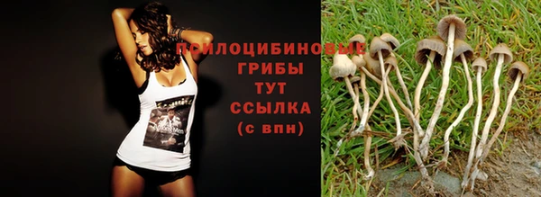 тгк Медвежьегорск