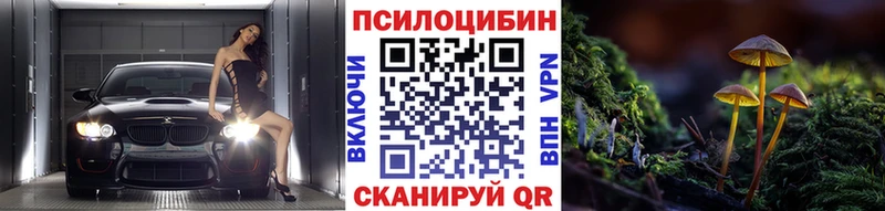 Галлюциногенные грибы Psilocybe  Нарьян-Мар 